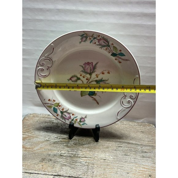 Moss Rose Ironstone 1890 - 1920 DINNER PLATE Beautiful Cottagecore Piece - Picture 12 of 12